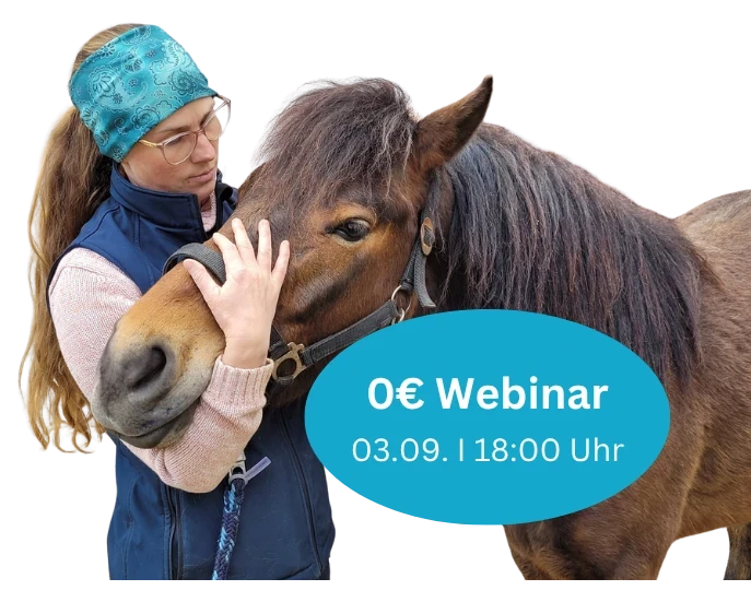 Physiotherapeutin streichelt ein Pferd, Badge „0€ Webinar 03.09. · 18:00 Uhr“